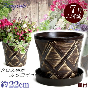 Mt Aؔ  n[û uE 7 & KNM1229uEt TCY 22cm O͏  픫 [^  F  { v^[ | K[fjO ^   