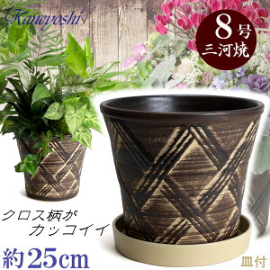 Mt Aؔ  n[û uE 8 & KNM1228x[Wt TCY 25cm O͏  픫 [^  F  { v^[ | K[fjO ^   