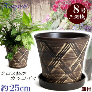 Mt Aؔ  n[û uE 8 & KNM1229uEt TCY 25cm O͏  픫 [^  F  { v^[ | K[fjO ^   
