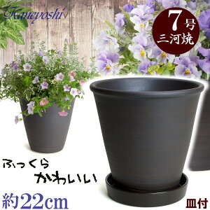 Mt Aؔ  t 7 uE & KNM1179 uEt TCY 22cm O͏ F ϓy 픫 [^   { Aؔ  픫 v^[ | K[fjO A