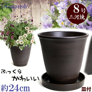 Mt Aؔ  t 8 uE & KNM1229 uEt TCY 24cm O͏ F ϓy 픫 [^   { Aؔ  픫 v^[ | K[fjO A