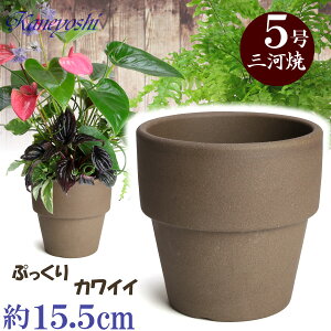 y󂠂z Ct 5 J Aɂ₳ 15.5cm O͏ Aؔ  fĂ  픫 ĐAɗǂ v^[ | K[fjO Aؔ ^ ^   O 