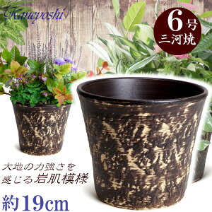 vŒ Aؔ  bNK[f uE 6 TCY 19cm O͏  픫 [^  F  { v^[ | K[fjO ^ ^   O { 