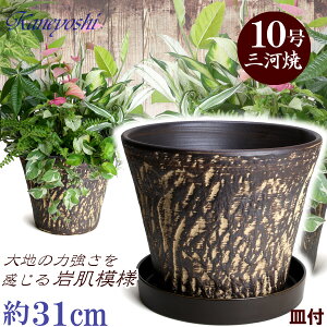 Mt Aؔ  bNK[f 10 uE & KNM1289 uEt TCY 31cm O͏  픫 [^  F  { v^[ | K[fjO ^   