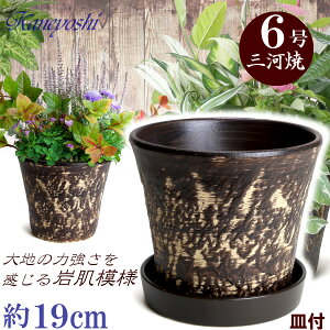 vŒ Aؔ  bNK[f uE 6 & KNM1229uEt TCY 19cm O͏  픫 [^  F  { v^[ | K[fjO ^  