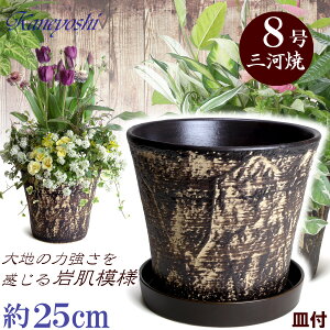 Mt Aؔ  bNK[f uE 8 & KNM1229uEt TCY 25cm O͏  픫 [^  F  { v^[ | K[fjO ^   