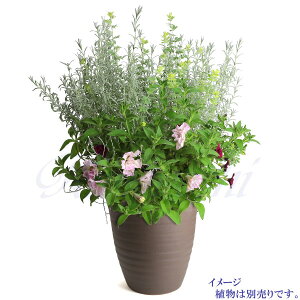 PR uE 8 vŒ Aؔ  TCY 25cm O͏ F ϓy 픫 [^   { Aؔ  픫 v^[ | K[fjO Aؔ ^ ^  
