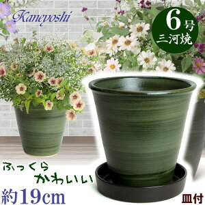 Mt Aؔ  t 6 O[ & KNM1179 uE t TCY 19cm O͏ ΐF ֖ 픫 [^   { Aؔ  픫 v^[ | K[fjO A