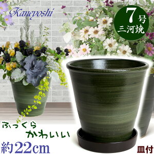 Mt Aؔ  t 7 O[ & KNM1179 uE t TCY 22cm O͏ ΐF ֖ 픫 [^   { Aؔ  픫 v^[ | K[fjO A