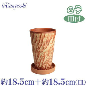 Mt@ OXg[@IW@6@@MAM@ԏā@6