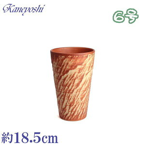 vŒ Aؔ  OXg[ IW 6 TCY 18.5cm O͏  픫 [^  F  { v^[ | K[fjO ^ ^   O { 