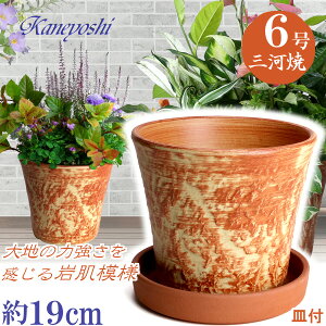 Mt Aؔ  bNK[f 6 IW & MAM 6 ԏ TCY 19cm O͏  픫 [^  F  { v^[ | K[fjO ^ ^   