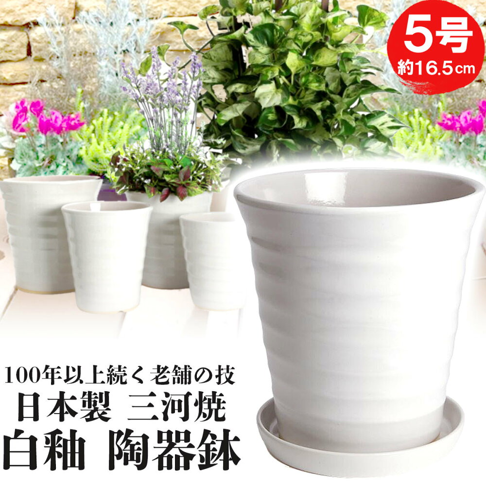 楽天市場 アウトレット 訳あり 植木鉢 おしゃれ 大型 陶器 鉢カバー ホワイト 白ツヤ １０号 ｋｙ６１４０ 植木鉢 メダカ鉢 七輪のどっちゃん