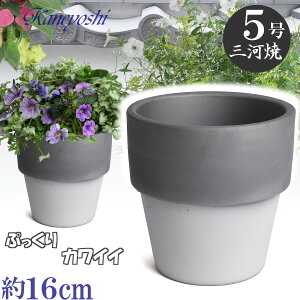 Aɂ₳ Ct 5 _[NVo[ Aؔ   TCY 16cm L Ԃ { O͏ a eRb^ ƒ؉ v^[ | K[fjO ^ ^   