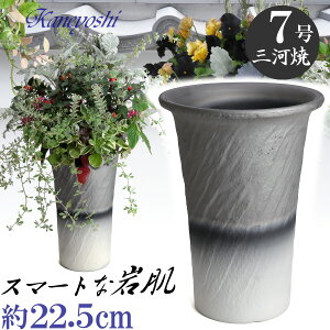 bN 7 _[NVo[ F ʋCQ Ԃ̐Aؔ 22cm O͏ 픫  [^ Aɂ₳ { Aؔ  ԂĂ  픫 v^[ | K[f