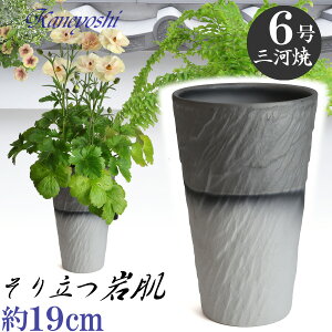 Aɂ₳ OXg[ 6 _[NVo[ Aؔ   TCY 19cm L Ԃ { O͏ a eRb^ ƒ؉ v^[ | K[fjO ^ ^ 