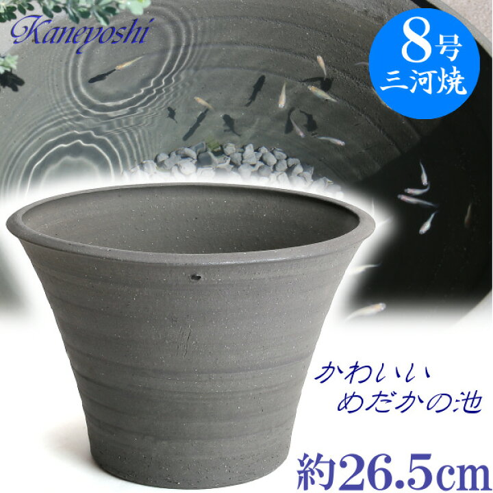 楽天市場】めだかの池8号 めだか鉢 金魚鉢 水鉢 陶器 睡蓮鉢 おしゃれ 