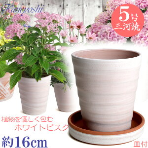 Mt Aؔ  t[[h 5 zCgrXN MAM6t { O͏ Aؔ   TCY 16cm ďv   ƒ؉ K[fjO   i` k