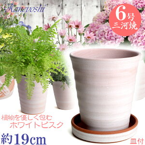 Mt Aؔ  t[[h 6 zCgrXN MAM6t { O͏ Aؔ   TCY 19cm ďv   ƒ؉ K[fjO   i` k