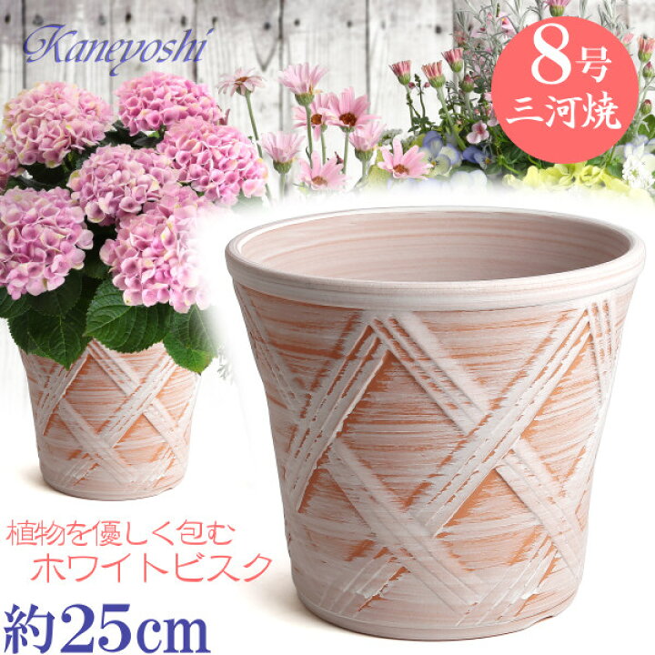 楽天市場 丈夫で長持ち 植木鉢 陶器 ハーブのかおり ホワイトビスク 8号 サイズ 25cm 三河焼 鉢 陶器鉢 深型 おしゃれ 白色 高級感 日本製 プランター 園芸資材 ガーデニング 大型 小型 室内 屋内 屋外 日本製 かわいい 園芸用品 ベランダ 鉢植え 多肉植物 観葉植物