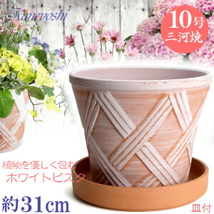 Mt Aؔ  n[û 10 zCgrXN MAM10ԏĕt TCY 31cm O͏  픫 [^  F  { v^[ | K[fjO ^   