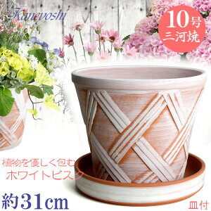 Mt Aؔ  n[û 10 zCgrXN MAM10 zCgrXNt TCY 31cm O͏ 픫 [^  F v^[ | K[fjO ^   