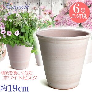 vŒ Aؔ  t 6 zCgrXN 19cm O͏ F ϓy 픫 [^   { Aؔ  픫 v^[ | K[fjO Aؔ ^ ^ 