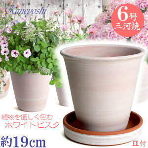 Mt Aؔ 포t 6 zCgrXN MAM6t TCY 19cm O͏ F ϓy 픫 [^   { Aؔ  픫 v^[ | K[fjO Aؔ 