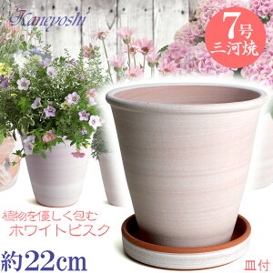 Mt Aؔ 포t 7 zCgrXN MAM6t TCY 22cm O͏ F ϓy 픫 [^   { Aؔ  픫 v^[ | K[fjO Aؔ 