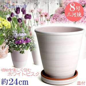 Mt Aؔ 포t 8 zCgrXN MAM6t TCY 25cm O͏ F ϓy 픫 [^   { Aؔ  픫 v^[ | K[fjO Aؔ 