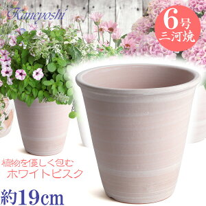 y󂠂zvŒ Aؔ  t zCgrXN 6 19cm O͏ F ϓy 픫 [^   { Aؔ  픫 v^[ | K[fjO A