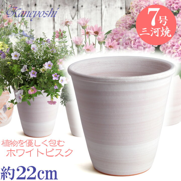 楽天市場】丈夫で長持ち 植木鉢 陶器 小春 7号 ホワイトビスク 22cm 