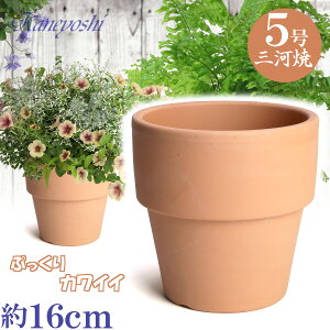Ct 5 f { O͏ Aؔ   c TCY 16cm ďv   ƒ؉ K[fjO   i` k K[f a AWA eCXg v[