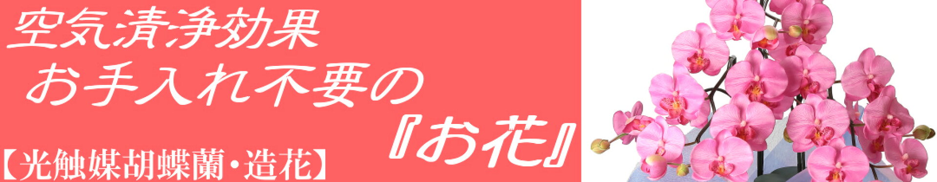 big_banner_hana