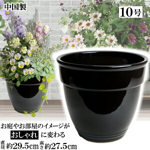 MB300 10 ubNAؔ    TCY 30cm ďv   ƒ؉ K[fjO   i` k K[f a AWA eCXg v[g  蕨 