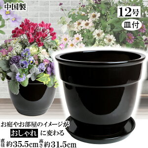 MB360 12 ubN  MPRBK30 Aؔ Mt    TCY 35cm   ƒ؉ K[fjO   i` k K[f a AWA eCXg v[g  