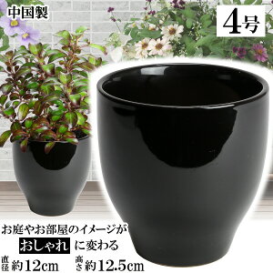 MGI12 ubN 4 Aؔ    TCY 12cm ďv   ƒ؉ K[fjO   i` k K[f a AWA eCXg v[g  蕨 