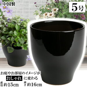 MGI15 ubN 5 Aؔ    TCY 15cm ďv   ƒ؉ K[fjO   i` k K[f a AWA eCXg v[g  蕨 