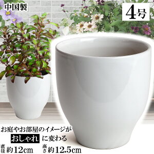 MGI12 zCg 4 Aؔ    TCY 12cm ďv   ƒ؉ K[fjO   i` k K[f a AWA eCXg v[g  蕨 