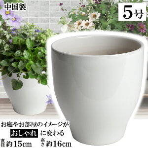 MGI15 zCg 5 Aؔ    TCY 15cm ďv   ƒ؉ K[fjO   i` k K[f a AWA eCXg v[g  蕨 