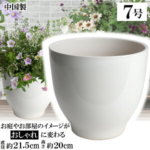 MGI22 zCg 7 Aؔ    TCY 21cm ďv   ƒ؉ K[fjO   i` k K[f a AWA eCXg v[g  蕨 