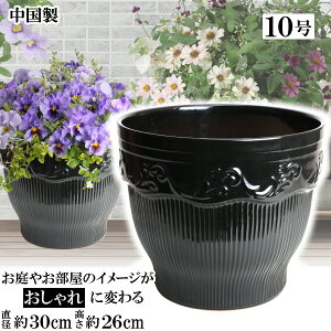 MGL300 10 ubNAؔ    TCY 30cm ďv   ƒ؉ K[fjO   i` k K[f a AWA eCXg v[g  蕨 