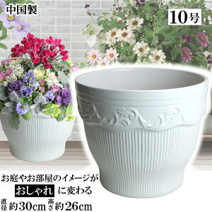 y󂠂zMGL300 10 zCgAؔ    TCY 30cm ďv   ƒ؉ K[fjO  i` k K[f a AWA eCXg v[g  