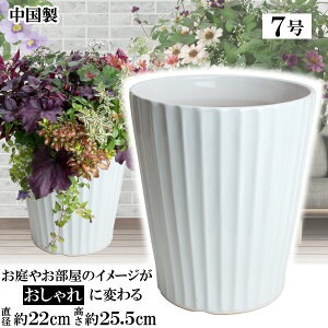 MIQ220 7 zCgAؔ    TCY 22cm ďv   ƒ؉ K[fjO  i` k K[f a AWA eCXg v[g  蕨 Vv 