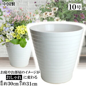 MRY300 10 zCgAؔ    TCY 30cm ďv   ƒ؉ K[fjO  i` k K[f a AWA eCXg v[g  蕨 Vv 