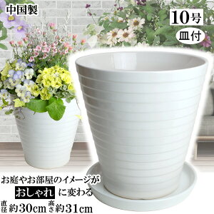 MRY30 10 zCg  MMEQ280 Aؔ  Mt   TCY 30cm   ƒ؉ K[fjO  i` k K[f a AWA eCXg v[g  蕨 V