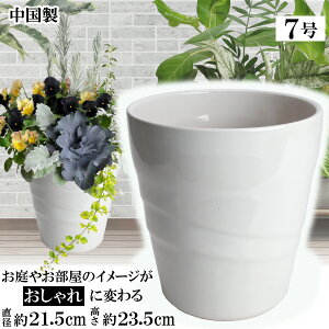 MBC22 zCg 7 Aؔ    TCY 21cm ďv   ƒ؉ K[fjO   i` k K[f a AWA eCXg v[g  蕨 