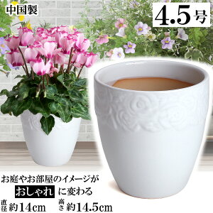 Aؔ@@@TCY@14cm@C[Y|bg@zCg@4D5