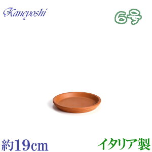 y󂠂z 󂯎M Aؔp \[T[   TCY 19cm C^A fĂ̂M