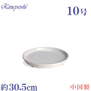 AؔpM   TCY 30D5cm@PR30@10